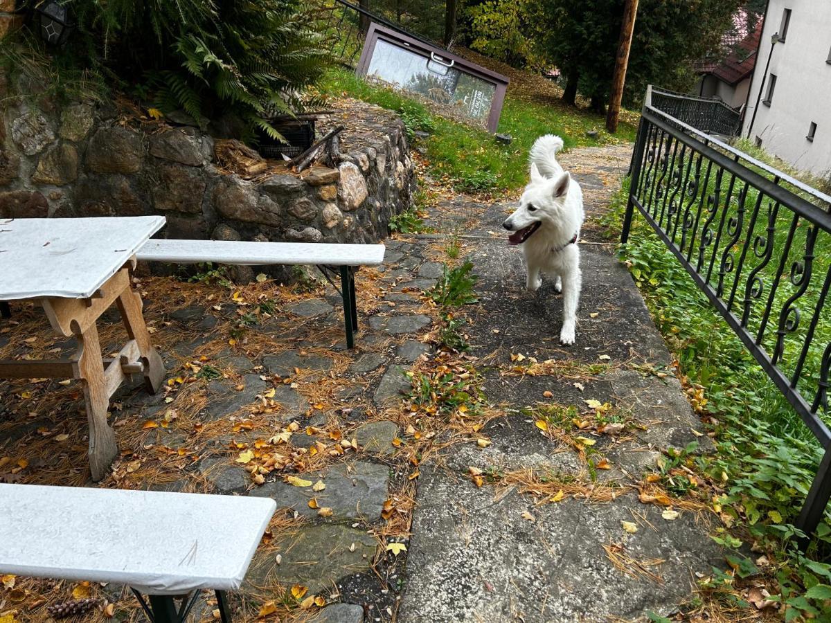 ポクシヴナ Osrodek Ankar Bed & Breakfast エクステリア 写真